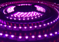 Пурпур UVA УЛЬТРАФИОЛЕТОВЫЙ c гермицидный привел светлые прокладки приведенные 254nm 360nm 365nm 455nm прокладки SMD335 ультрафиолетовые