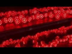 DMX512 LED Amusement Light RGB Pixel 60mm DC24V