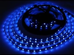 Дигитальная двойная сигнальная линия DC12V IP65 WS2815 SMD5050 96Pixel RGBICAaddressable Led Strip