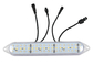24В DMX512 RGBW светодиодная лампа с модулем пикселя для развлечений водонепроницаемая IP67