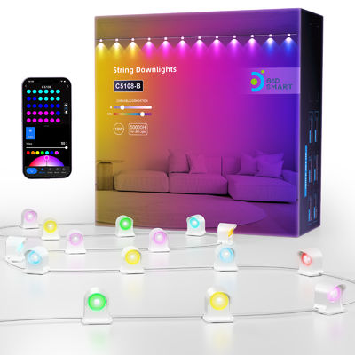 Адресованные RGB IP68 водонепроницаемые светодиодные лампы для рождественского украшения